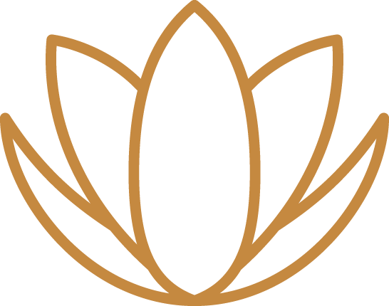 Personalized Treatment Plans